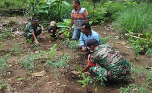 Kodim 0726/Sukoharjo Tanam Bibit Jengkol dan Jambu Mete di Desa Kamal, Bulu