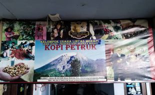 Ini Dia Kopi Petruk Kemalang, Kualitas Terbaik di Lereng Merapi Klaten