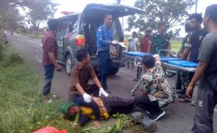 Ibu-Ibu Tertimpa Pohon Tumbang di Sambungmacan Sragen Sampai Seperti Ini