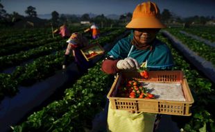 Indeks Bisnis BRI Kuartal III/2022, UMKM Tumbuh di Tengah Kenaikan Inflasi