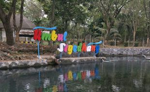 Inilah Umbul Sigedhang, Tempat Favorit Berenang dan Bersantai di Klaten