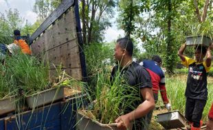 Cegah Longsor, Ribuan Bibit Vetiver Ditanam di Karangtengah Wonogiri