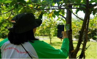 Tanaman di Kebun Raya Indrokilo Dipasangi QR Code oleh Pertamina & DLH Boyolali