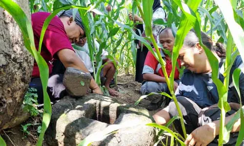 Batu Berlubang Diduga Bagian Candi Ditemukan di Kebun Jagung Mondokan Sragen