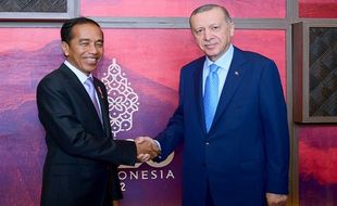 Temui Erdogan, Jokowi Ucapkan Duka Cita atas Serangan Bom Istanbul