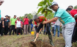 Selamatkan Lahan Kritis, Pemprov Jateng Tanam Jutaan Pohon