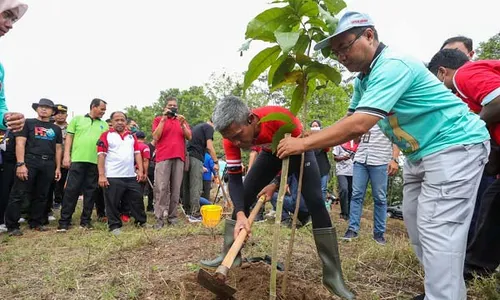 Selamatkan Lahan Kritis, Pemprov Jateng Tanam Jutaan Pohon