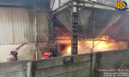 Pabrik Parquet di Kalijambe Sragen Terbakar, Karyawan Panik