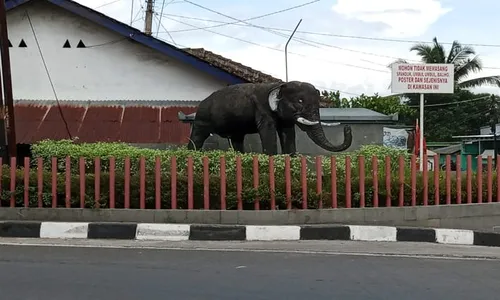 Patung Gajah di Jalan Sraten-Muncul Semarang, Berkaitan Berdirinya Desa Sraten