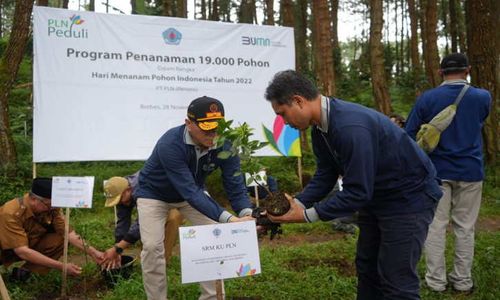 Peringati Hari Menanam Pohon 2022, PLN Tanam 19.000 Pohon di Sejumlah Wilayah