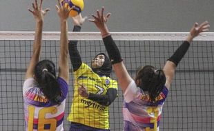 Resmi! Jadwal, Lokasi Pertandingan, dan Daftar Peserta Proliga 2023