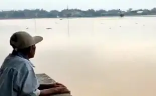 Bengawan Solo Meluap, Ratusan Hektare Sawah di Sragen Tergenang Air