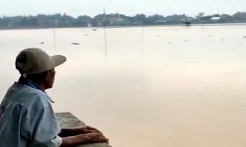 Bengawan Solo Meluap, Ratusan Hektare Sawah di Sragen Tergenang Air