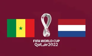 Ini Link Live Streaming Senegal vs Belanda Pukul 23.00 WIB