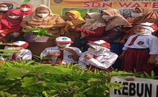 Keren, Urban Farming Masuk Kurikulum Belajar Siswa di Semarang