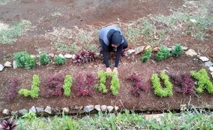 KKN di Jenawi, Mahasiswa Unisri Revitalisasi Bukit Ganduman Karanganyar