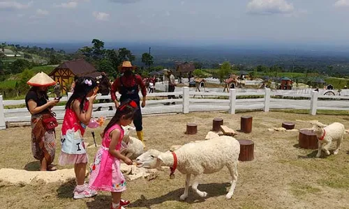 Berkonsep Wisata Edukasi, Ini Potret Wahana Cepogo Cheese Park di Boyolali