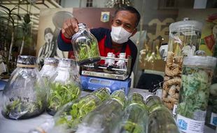 Festival Urban Farming di Jakarta, Edukasi Pemanfaatan Lahan & Ketahanan Pangan