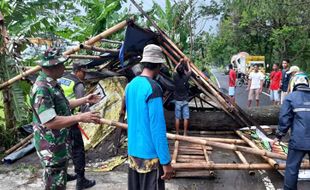 Pohon Tumbang Melintang di Jalan Jatinom-Karanganom Klaten, Tak Ada Korban Jiwa