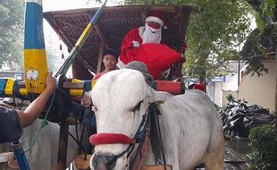 Unik! Dua Sinterklas Naik Gerobak Sapi Bagi-Bagi Bingkisan Natal di Boyolali