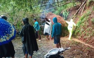 Banyak Bambu Tumbang di Karangtengah Wonogiri Halangi Akses Jalan