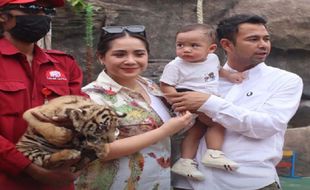 Dilirik Raffi Ahmad untuk Investasi, Ini Harga Tiket Masuk Semarang Zoo