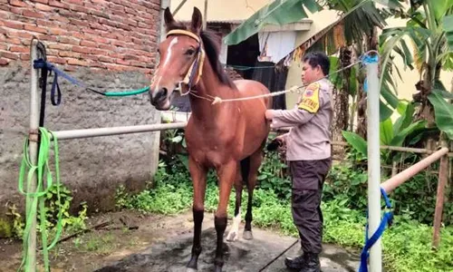 Bhabinkamtibmas Cilacap Jadi Kusir Kereta Kuda Pengantin Kaesang-Erina di Solo