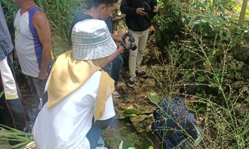 Geger! Warga Gunungkidul Mengaku Lihat Seekor Macan di Ladangnya