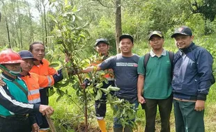 Perhutani & Forkom PKSDM Tanam 1.600 Bibit Pohon di Bukit Mongkrang Tawangmangu