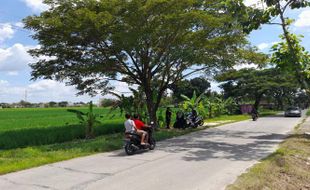 Dibangun di Lahan 15 Hektare, Ini Lokasi Kampus Poltekpar di Gemolong Sragen