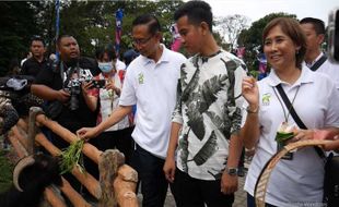 Menghitung Beban Operasional Solo Safari Setelah Pembangunan Fase I