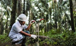 Beasiswa Kuliah Sinar Mas Agribusiness and Food, Cek Cara Daftar dan Syaratnya