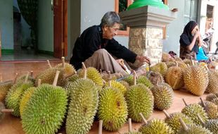 Serbu Lur! Musim Durian di Karanganyar Telah Tiba, Harga Mulai Rp30.000/Buah