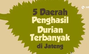 5 Daerah Penghasil Durian Terbanyak di Jawa Tengah