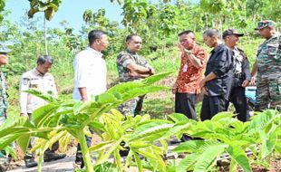 Petani Porang di Bulu Terima Bantuan Sumur Bor dari Dandim Sukoharjo