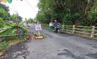 Hati-Hati Lur! Jembatan di Juwiring Klaten Ini Berlubang lo