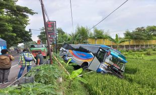 Sopir Ngantuk, Bus Sugeng Rahayu Nyemplung ke Sawah di Gumulan Klaten