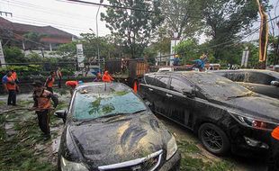 Pohon Tumbang Tersapu Angin Kencang Timpa 5 Kendaraan di Manahan Solo