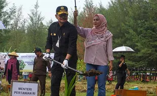 Syahrul Yasin Limpo, Kader Golkar yang Melompat ke Partai Nasdem