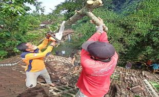 Sukarelawan dan BPBD Wonogiri Tangani Pohon Tumbang di Desa Singodutan