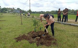 DLH Sukoharjo Ajukan Rp100 Juta di 2024 untuk Beli Pohon