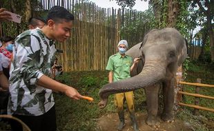 Wali Kota Gibran Bertemu 2 Bupati Bahas Jalan Tol Lingkar Solo, Ini Hasilnya