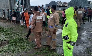 Kronologi Pohon Tumbang di Sukoharjo Sebabkan 2 Orang Meninggal, Puluhan Terluka