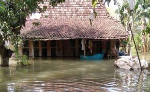 Tak Juga Surut, Genangan Banjir di Pati Justru Meluas