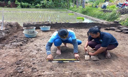 Cerita Warga Soropaten Klaten Temukan Struktur Bangunan Candi Kuno di Sawah