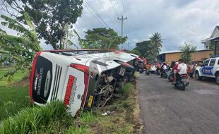 Hindari Truk, Bus Bawa 60 Peziarah asal Jawa Timur Terguling ke Sawah di Klaten