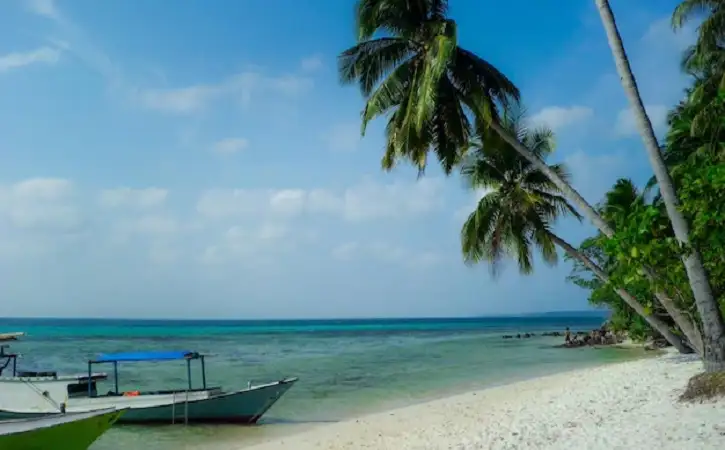 Mulai Juli! Ini Jadwal & Harga Tiket Pesawat Jogja–Karimunjawa