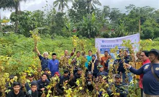 Kembangkan Kedelai Lokal, Ponpes di Wonogiri Dibantu Rp300 Juta dari BI Solo