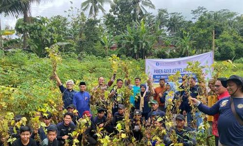 Kembangkan Kedelai Lokal, Ponpes di Wonogiri Dibantu Rp300 Juta dari BI Solo