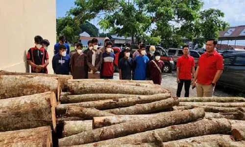 Diringkus, 15 Pelaku Pembalakan Liar di Tepi Waduk Jatibarang